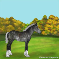 Horse Color:Silver Smoky Black Chinchilla Ice