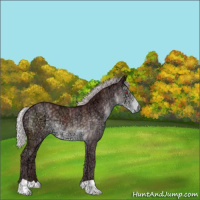 Horse Color:Chocolate Silver Smoky Black Chinchilla Ice