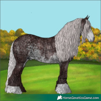 Horse Color:Chocolate Silver Smoky Black Chinchilla Ice 