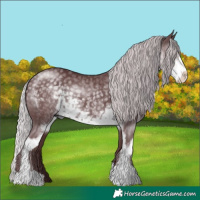 Horse Color:Chocolate Silver Smoky Black Chinchilla Sabino 