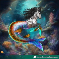 Horse Color:White Spotted Brown Ice