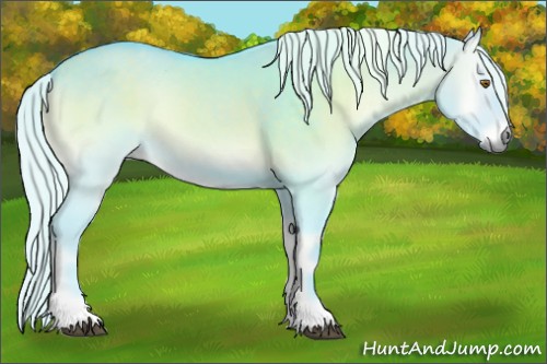 Horse Color:Watercolor Silver Grullo Chinchilla Onyx 
