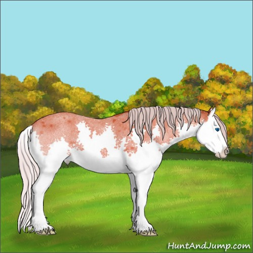 Horse Color:Silver Brown Roan Splash 