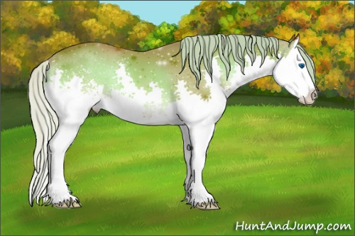 Horse Color:Silver Bay Onyx Sabino Splash 
