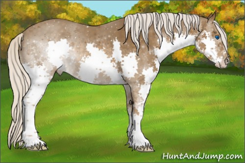 Horse Color:Silver Smoky Black Splash 