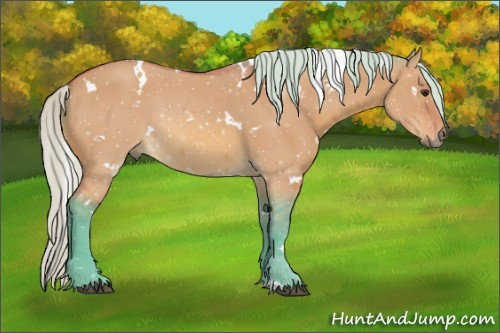 Horse Color:Watercolor White Spotted Silver Brown Dun 
