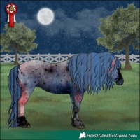 Horse Color:ERROR: UNKNOWN ANOMALY