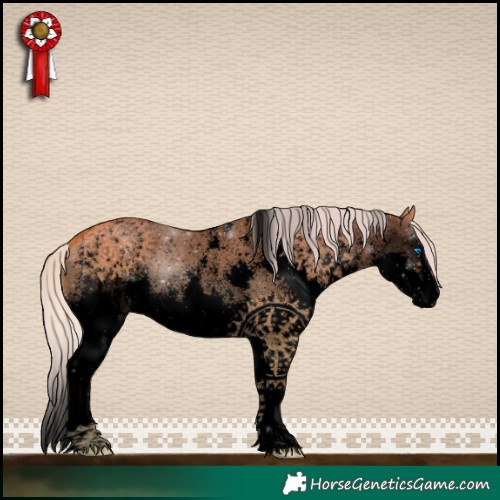 Horse Color:Void Silver Buckskin Dun Sabino Splash 