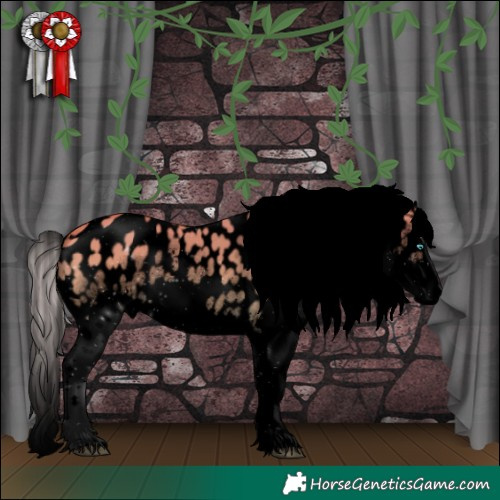 Horse Color:Void Silver Buckskin Dun Sabino Splash Near Leopard Rabicano