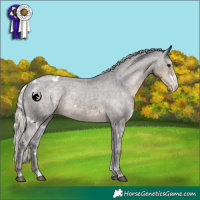 Horse Color:White Spotted Silver Smoky Black Sabino Varnish 