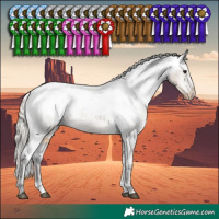 Horse Color:White Spotted Silver Smoky Black Sabino Appaloosa 