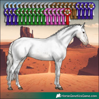 Horse Color:White Spotted Silver Smoky Black Sabino Appaloosa 