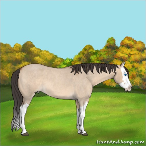 Horse Color:Bay Roan Dun Splash 
