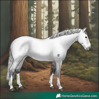 Horse Color:Gray Brown Roan Splash Rabicano 