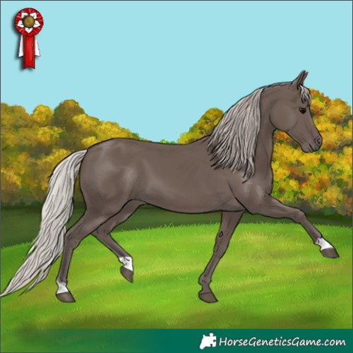 Horse Color:Silver Black 