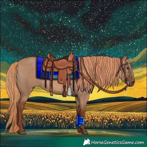 Horse Color:Red Dun