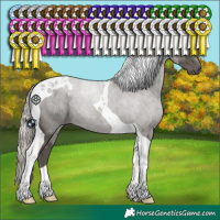 Horse Color:Silver Black Tobiano