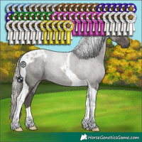 Horse Color:Silver Black Tobiano