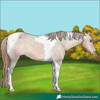 Horse Color:Bay Dun Tobiano Varnish 