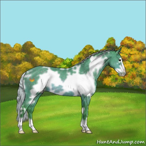 Horse Color:Watercolor White Spotted Silver Brown Frame Rabicano 