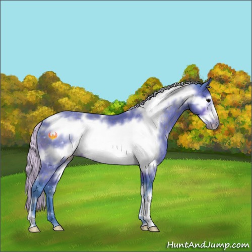 Horse Color:Watercolor White Spotted Silver Brown Frame Rabicano 