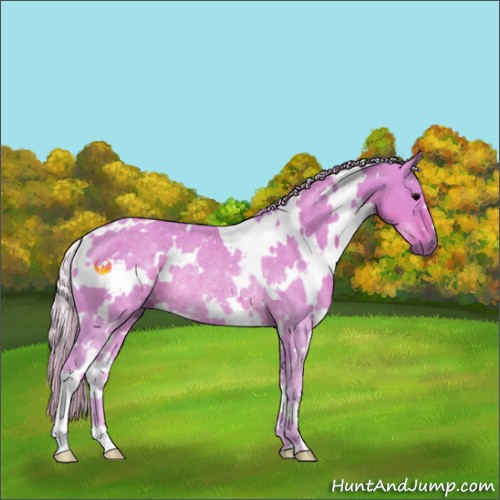 Horse Color:Watercolor White Spotted Silver Black Rabicano 