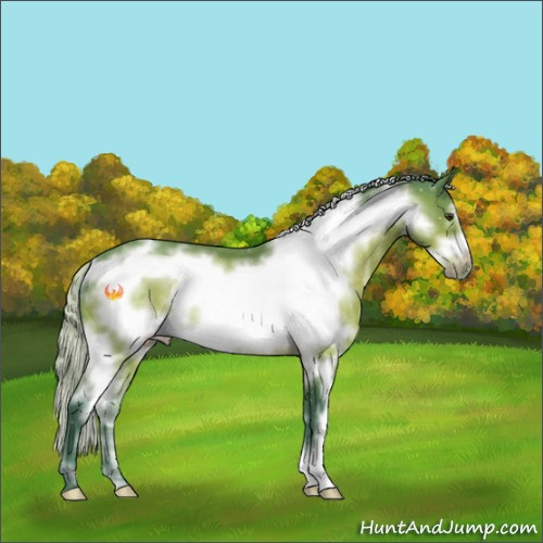 Horse Color:Watercolor White Spotted Silver Brown Frame Rabicano 