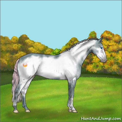 Horse Color:Watercolor White Spotted Silver Black Frame Rabicano 