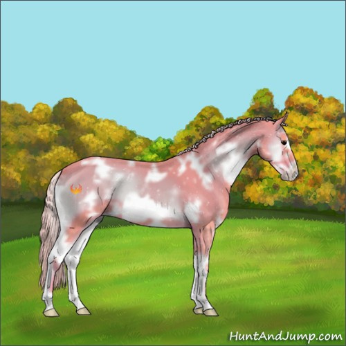 Horse Color:Watercolor White Spotted Silver Blue Onyx Frame 