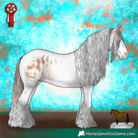 Horse Color:Bay Dun Splash Tobiano  and Red Dun Splash Tobiano Blanket 