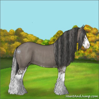 Horse Color:Silver Grullo Splash  and Grullo Splash 
