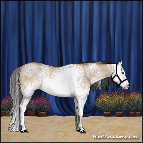 Horse Color:White Spotted Sable Champagne Dun Splash Rabicano 