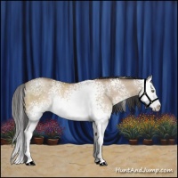 Horse Color:White Spotted Sable Champagne Dun Splash Rabicano