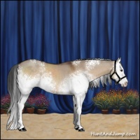 Horse Color:White Spotted Brown Dun Splash 