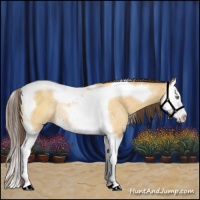 Horse Color:Sable Cream Champagne Dun Sabino Splash Tobiano Rabicano 
