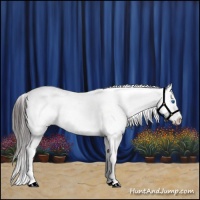 Horse Color:Classic Champagne Dun Sabino Splash 