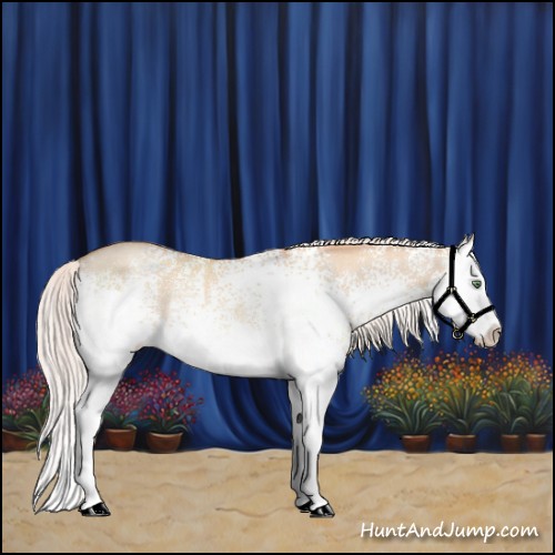 Horse Color:White Spotted Silver Classic Champagne Dun Splash Rabicano 