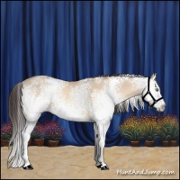 Horse Color:White Spotted Sable Champagne Dun Splash 