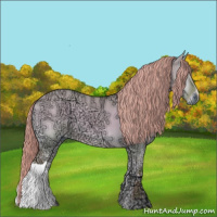Horse Color:Watercolor Red Dun Ice Onyx