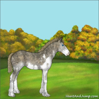 Horse Color:Watercolor Red Onyx Ice Splash