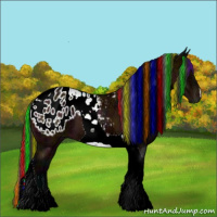 Horse Color:Painted Midnight Bay Ice Tobiano Appaloosa 