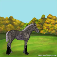 Horse Color:Watercolor Chestnut Ice 