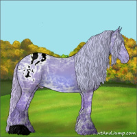 Horse Color:Watercolor Silver Bay Ice Appaloosa 