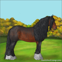 Horse Color:Brown 