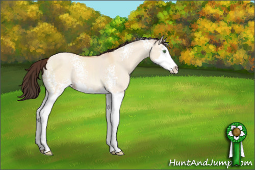 Horse Color:White Spotted Sable Champagne Dun Sabino Splash Rabicano 
