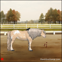 Horse Color:White Spotted Gold Champagne
