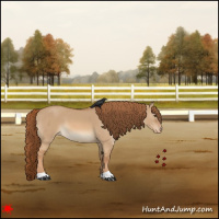 Horse Color:Red Dun Varnish 