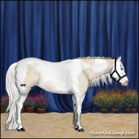 Horse Color:Silver Perlino Splash Tobiano Rabicano 