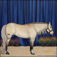 Horse Color:Silver Buckskin Dun Sabino 