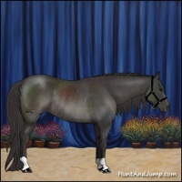 Horse Color:Smoky Black Rabicano 